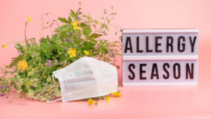 Alerginis rinitas šienligė pavasarinė alergija sloga