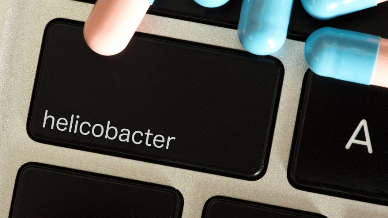 helicobacter pylori bakterija infekcija