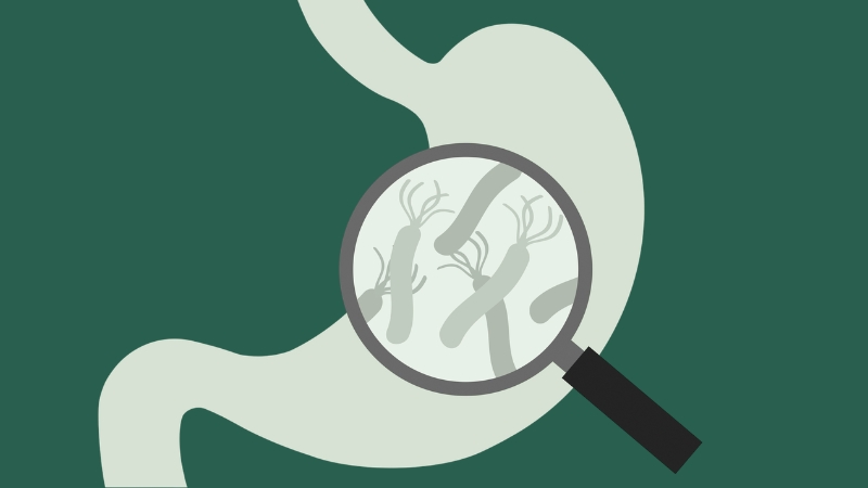 helicobacter pylori gydymas schema